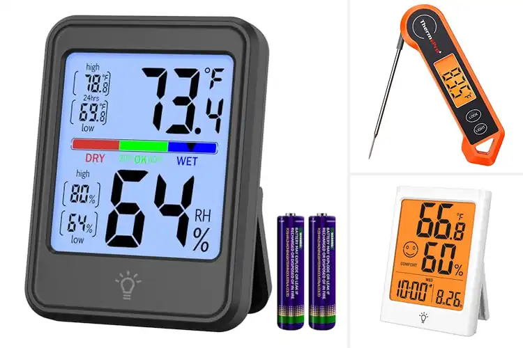 Detailed view of 10 Best Backlit Digital Thermometers