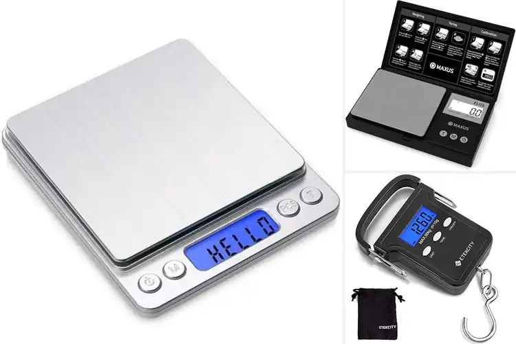 Detailed view of 10 Best Backlit LCD Scales for Effortless Baking