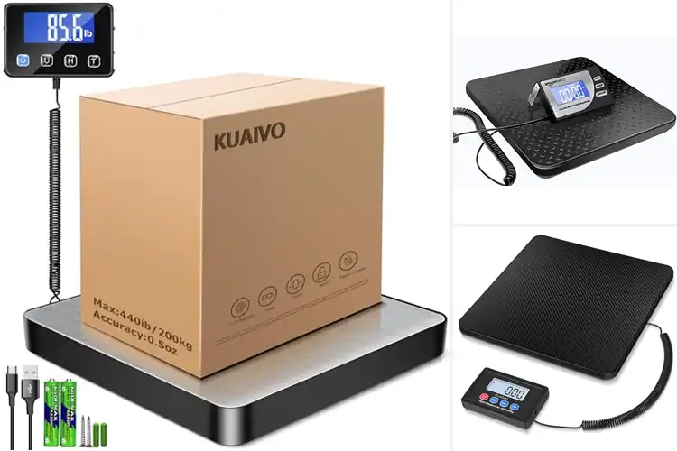 Detailed view of Best Battery Operated Digital Scale With Tare Function