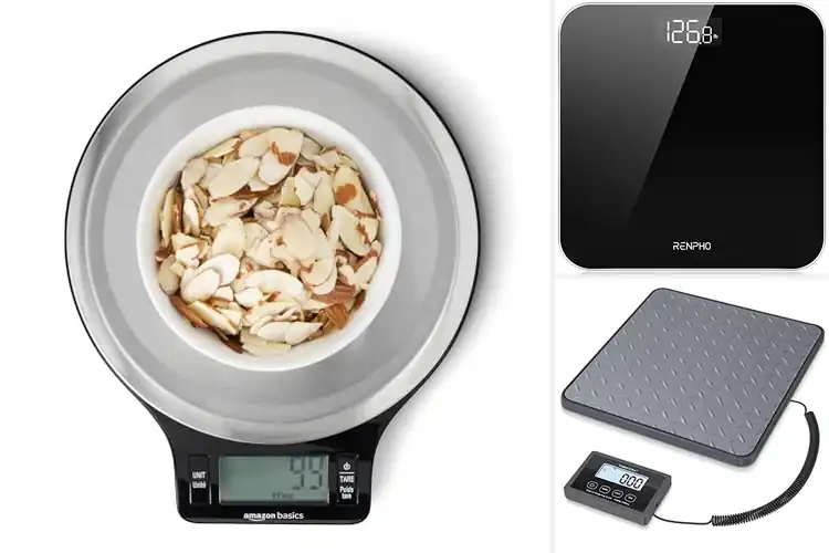 Detailed view of 10 Best Battery Operated Scales for Easy Weighing