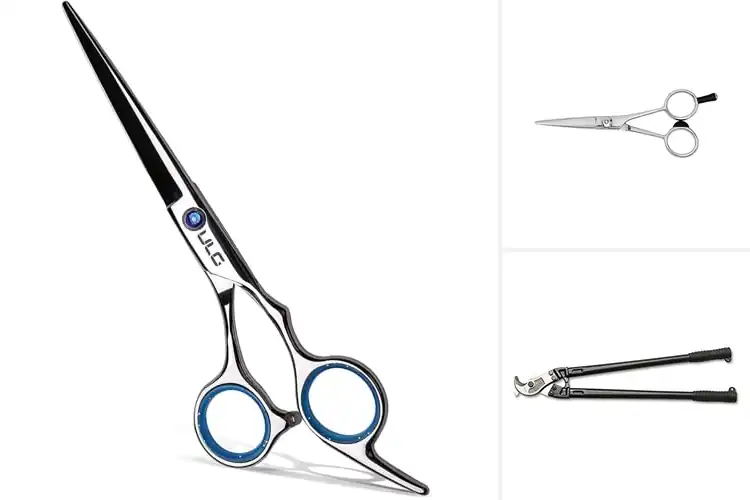 Detailed view of Best Cutting Performance Shears