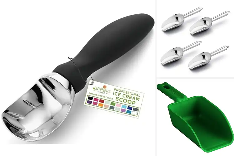 Detailed view of 10 Best Dishwasher Safe Scoops