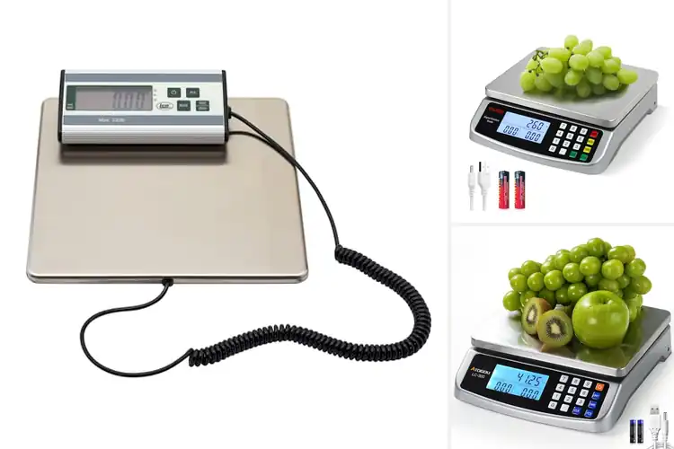 Detailed view of Best Food Grade Stainless Steel Scales