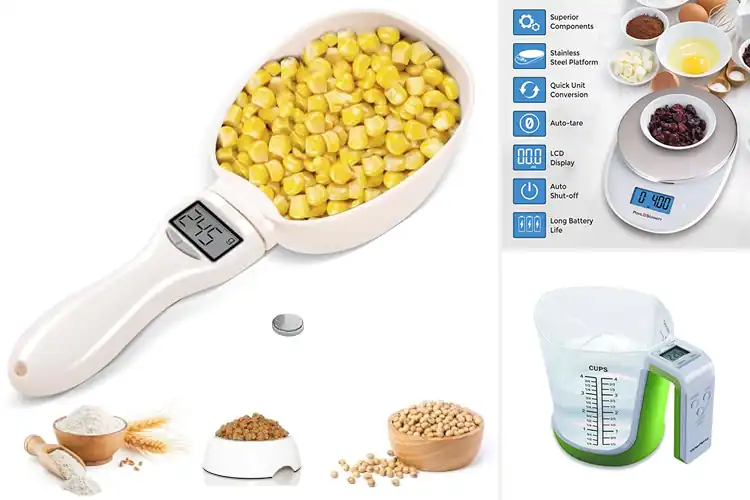 Detailed view of 10 Best Food Measuring Devices: Cook Precisely