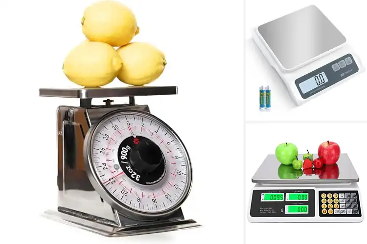 Detailed view of Best food scales with stainless steel platform