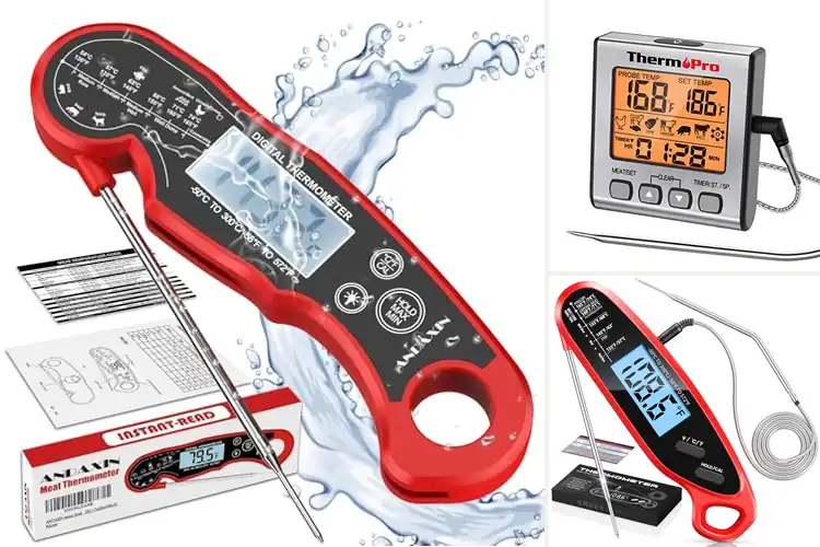 Detailed view of 10 Best Food Thermometers For BBQ And Grilling: Cook Like a Pro
