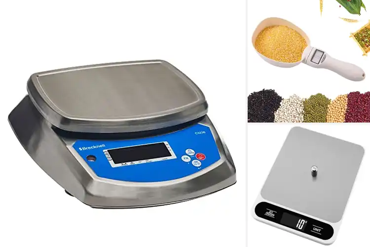 Detailed view of Best Food Weighers