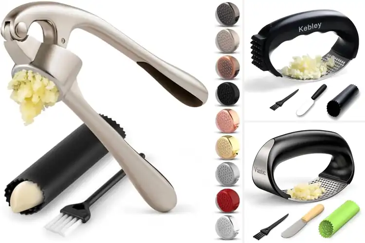 Detailed view of Best Garlic Crushers