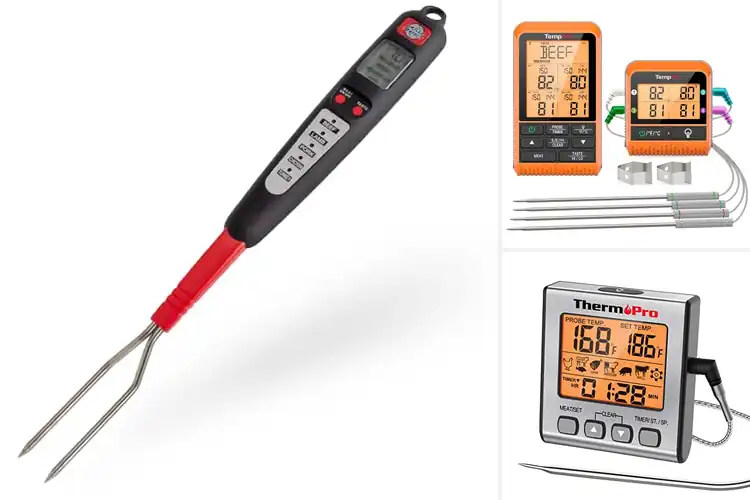 Detailed view of Best Grilling Thermometers For Barbecue