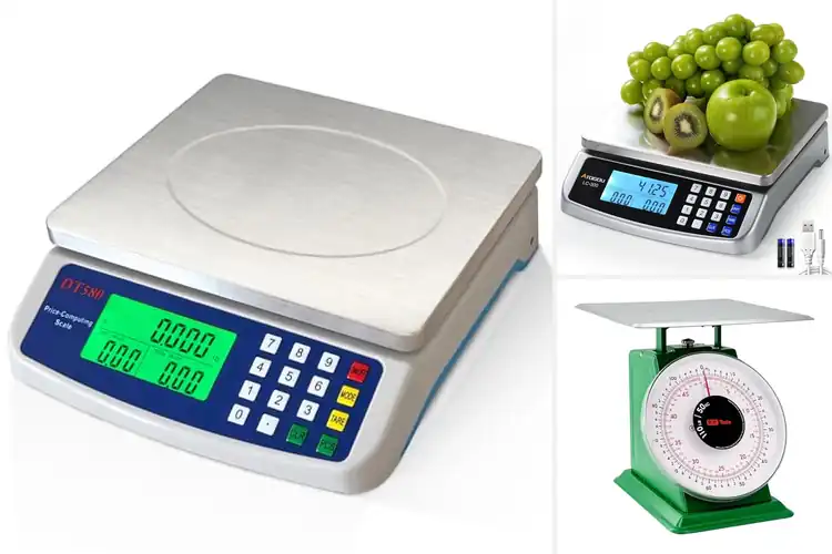 Detailed view of Best Heavy-Duty Kitchen Scales