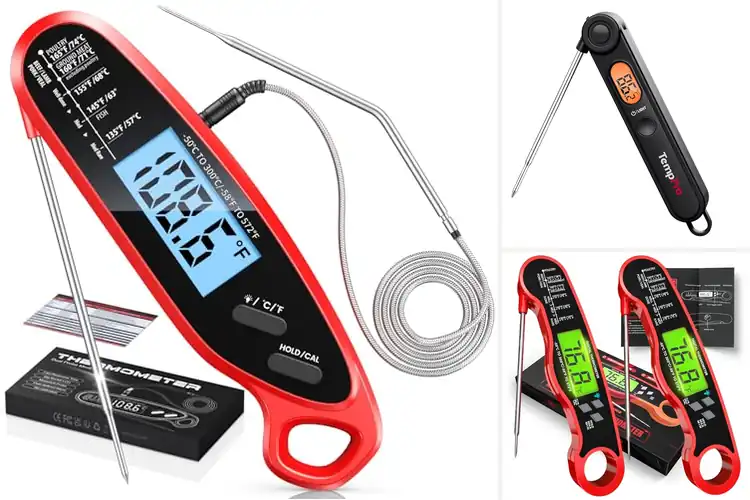 Detailed view of Best Instant Read Temperature Probes