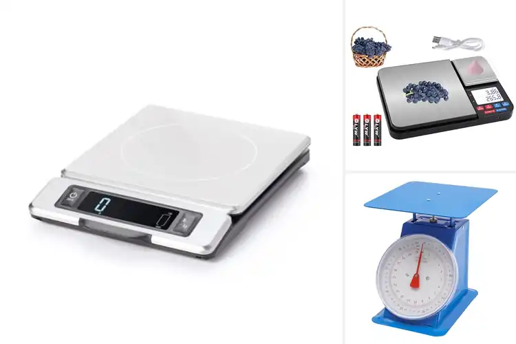 Detailed view of Best Kitchen Scales With Stainless Steel Platform