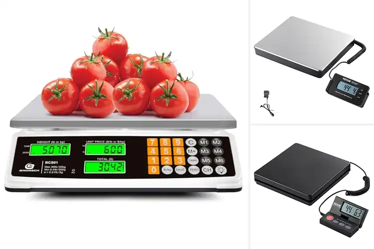 Detailed view of Best Large LCD Screen Scale