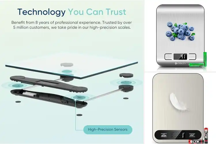 Detailed view of 10 Best LCD Display Scales For Easy Reading