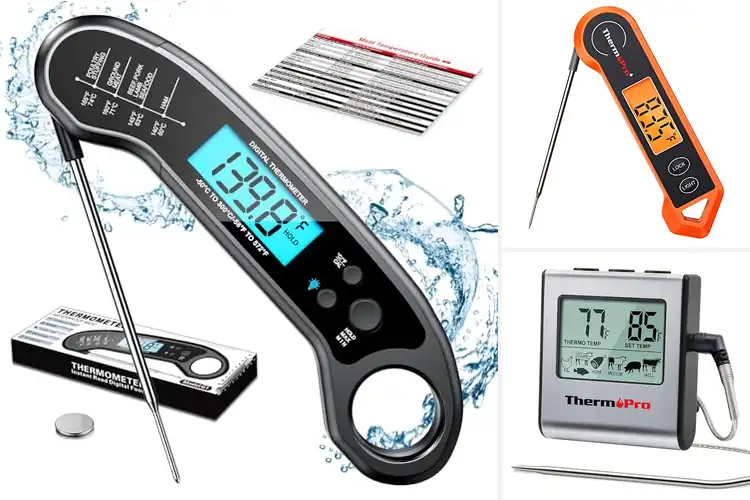 Detailed view of 10 Best Meat Thermometer For Barbecue