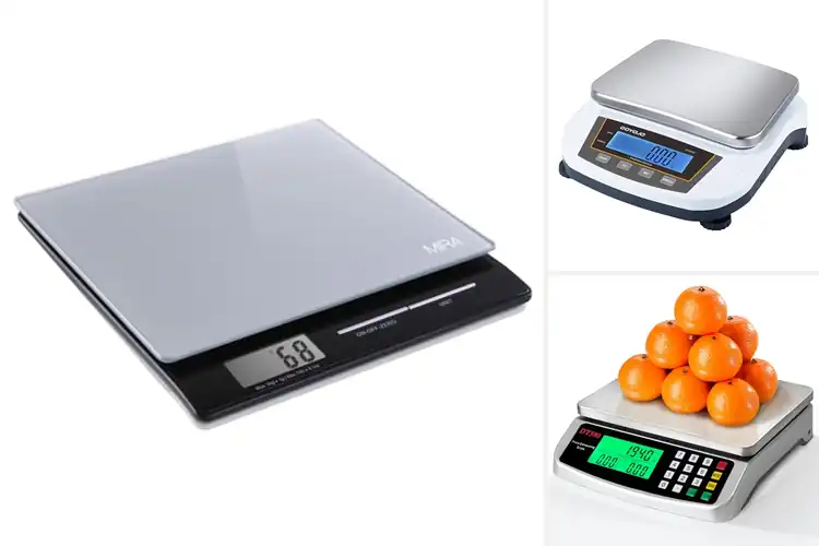Detailed view of Best Multi-Unit Digital Scales