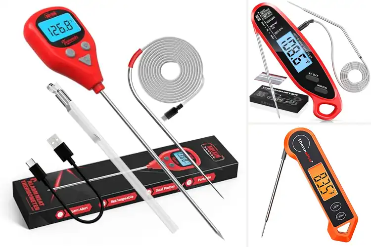 Detailed view of 10 Best Multi Use Food Thermometers For Cooking
