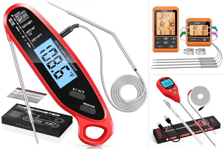 Detailed view of 10 Best Multi-Use Meat Thermometers For BBQ