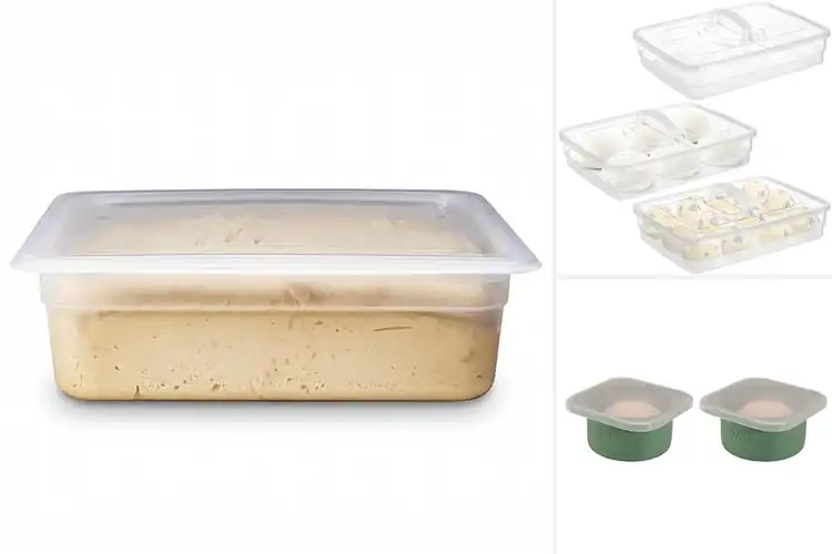 Detailed view of 10 Best Pizza Dough Fermentation Boxes: Reviews