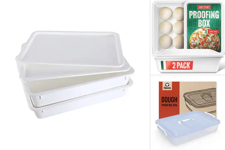 Detailed view of 10 Best Pizza Proofing Boxes: Bake Perfect Crusts