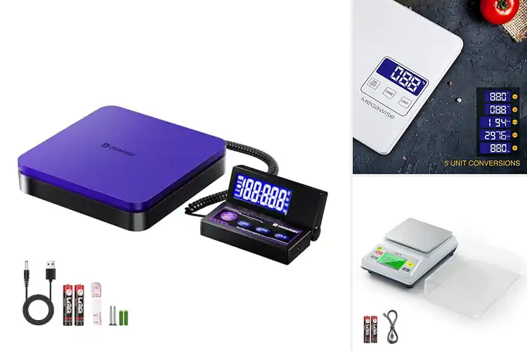 Detailed view of 10 Best Scales With Tare Function And 5 Units That Save Time