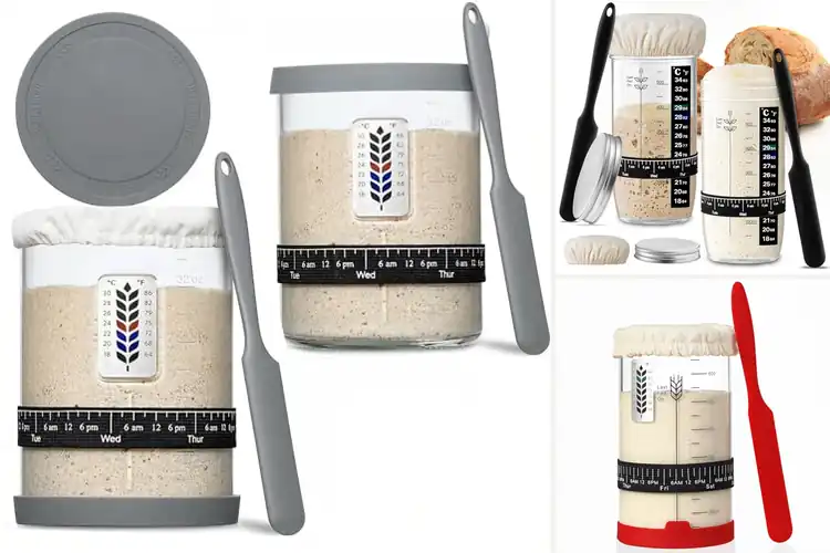 Detailed view of Best Sourdough Starter Jars