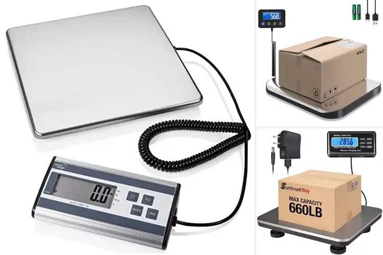 Detailed view of Best Stainless Steel Platform Scales