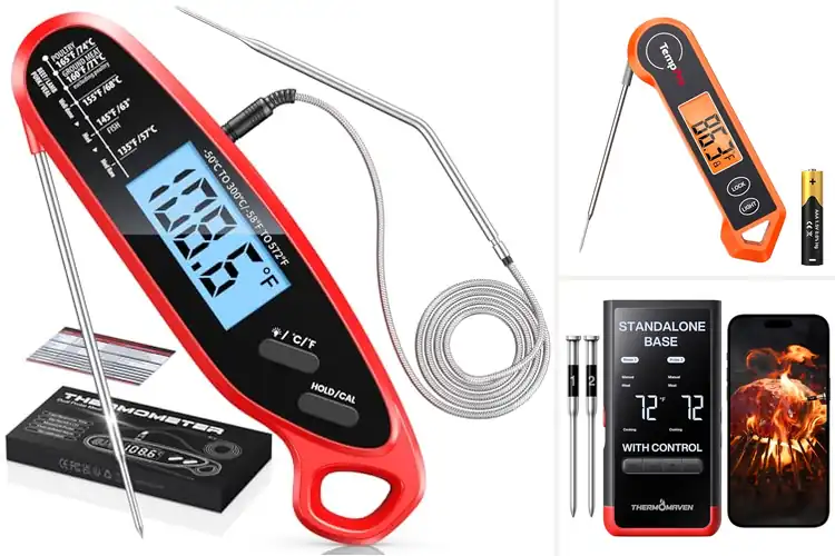 Detailed view of Best Temperature Probes For Cooking